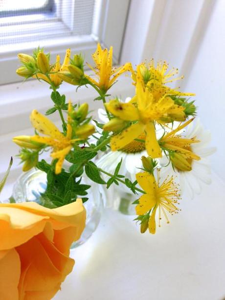 Yellow Flowers In Glass Vase