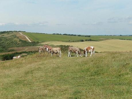 Dorset Coastal Walk (Part 1)