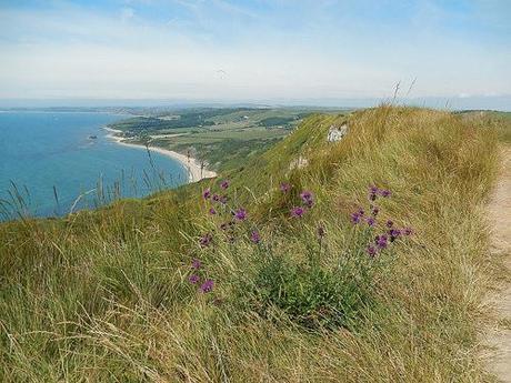 Dorset Coastal Walk (Part 1)