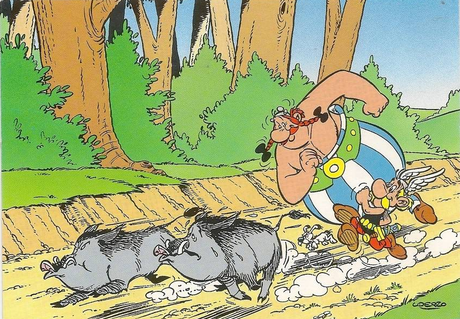 The top 10 food products a French expat yearns for outside of France The top 10 food products a French expat yearns for outside of France