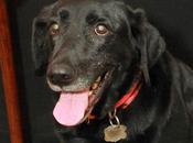 Mills Police Officer Faces Charge Death Left