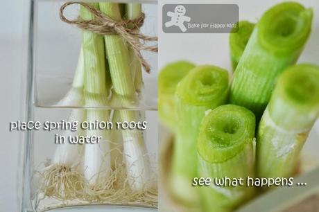 A Taste of Spring: Asparagus and Spring Onion Tart (Gordon Ramsay) A Taste of Spring: Asparagus and Spring Onion Tart (Gordon Ramsay)