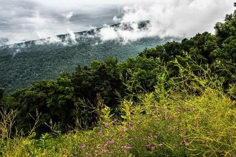 Cloudy-Day-in-Shenandoah-Mountains-2