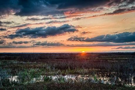 Paynes-Prairie-Sunset