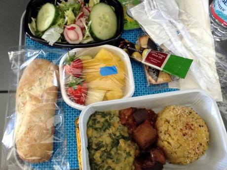 Turning Veganese - Plane Food