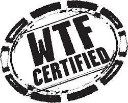 wtf stamp, what the fuck, what the hell, the reporter and the girl, 