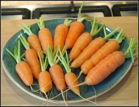 Harvest Monday - 25th August 2014