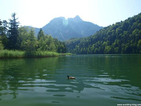 Neuschwanstein castle and surroundings