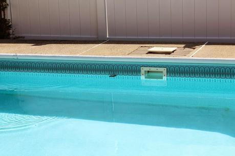 How a Dog's Nose Saved the Day