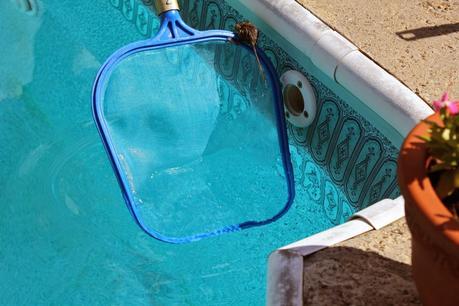 How a Dog's Nose Saved the Day