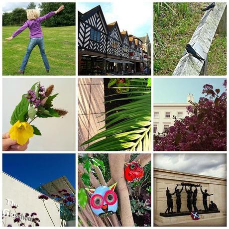 August Break 2014, Week 3