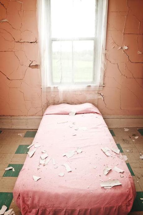 shaun-lowe-the-pink-bed