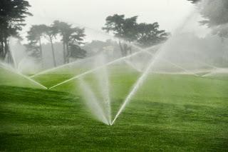 The West's Water Woes -- Wealthy Californians Water Their Golf Courses and Polo Grounds