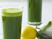 Best Recipes Spinach Juice