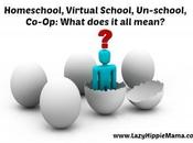 Homeschool, Virtual School, Un-school, Co-Op: What Does Mean?