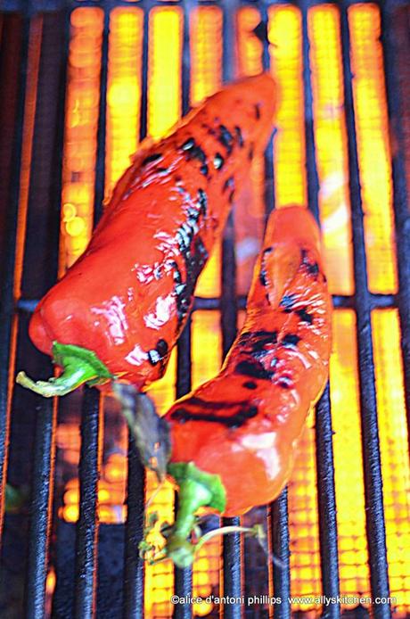 ~jamaicanJerk steak & grilled red poblano pepper~