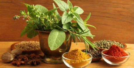 Best Herbs and Spices to Stimulate Your Hair Growth Best Herbs and Spices to Stimulate Your Hair Growth