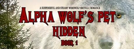 Hidden (Alpha Wolf's Pet #1) by Eva Gordon: Character Interview