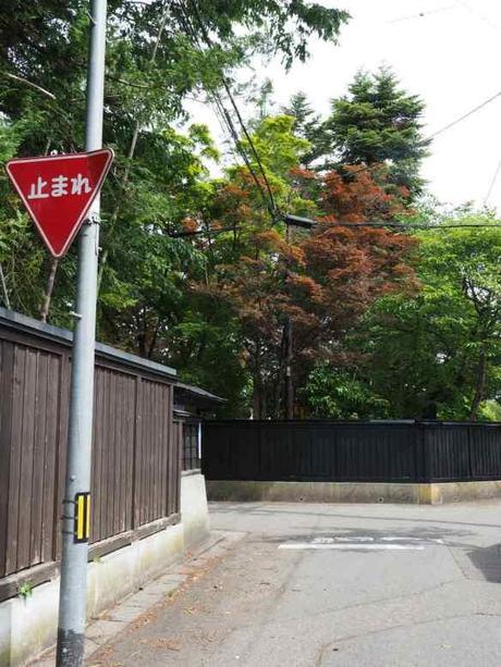 P6110103 深緑鮮やかな武家屋敷，横手市羽黒町 / Yokote, the samurai residences make a beautiful contrast with the deep green leaves.