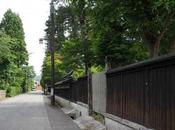 深緑鮮やかな武家屋敷，横手市羽黒町 Yokote, Samurai Residences Make Beautiful Contrast with Deep Green Leaves.