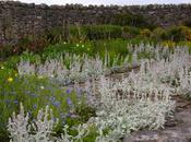 Gertrude Jeyklls Garden Lindisfarne Castle, Holy Island, Northumberland
