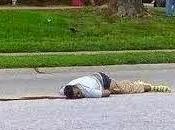 Quote Day: Must Lose Sight Michael Brown's Body"