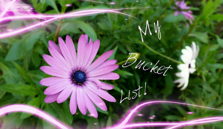 My Bucket List