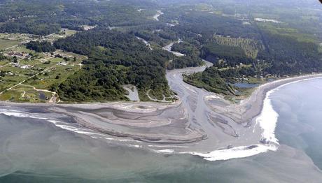 The Elwha River flows into the Strait of Juan de Fuca, carrying sediment once trapped behind dams. The gradual release has rebuilt riverbanks and created estuary habitat for Dungeness crabs, clams, and other species. Photograph by Elaine Thompson, Associated Press. From National Geographic