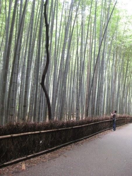 5 Places I Could Visit Again and Again