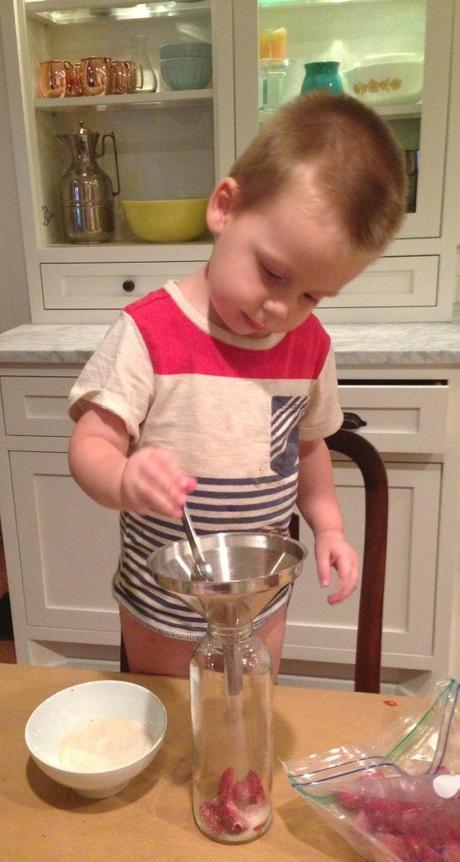 making kombucha…with a 2 year old