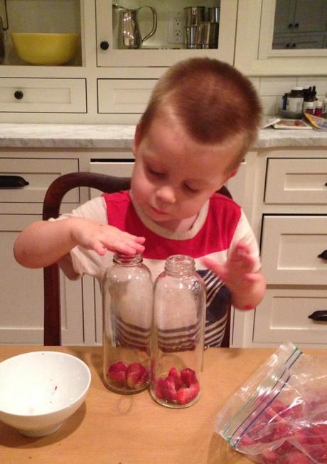 making kombucha…with a 2 year old