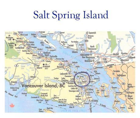 salt-spring-map10001
