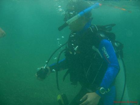 PADI Open Water Diver Certification