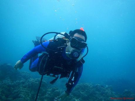 PADI Open Water Diver Certification
