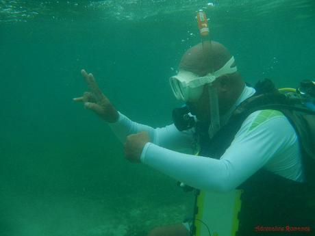 PADI Open Water Diver Certification