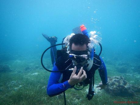 PADI Open Water Diver Certification