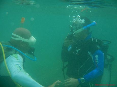 PADI Open Water Diver Certification