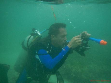 PADI Open Water Diver Certification