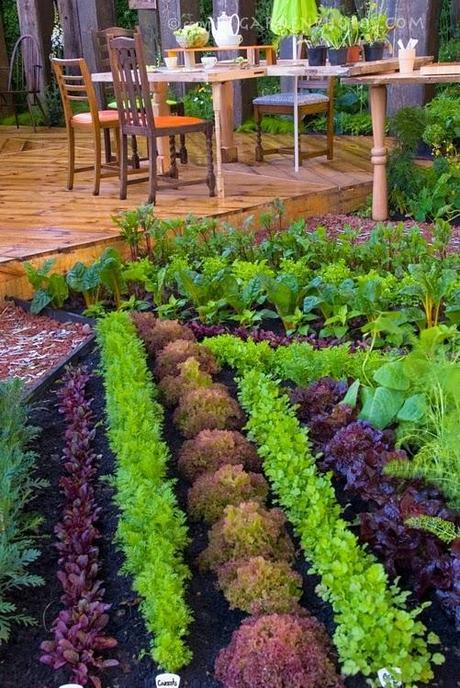 Vegetable Gardens