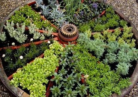 Vegetable Gardens