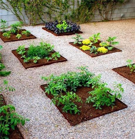 Vegetable Gardens