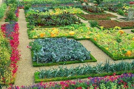 Vegetable Gardens