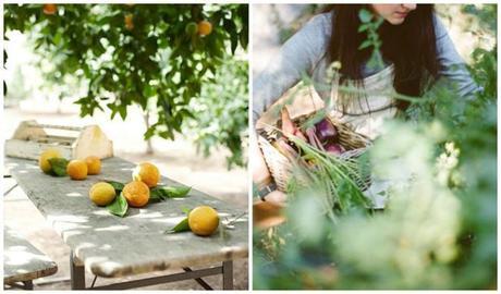 Summer gardenCollage