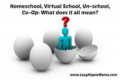 Homeschool, Virtual School, Un-school, Co-Op: What does it all mean? | LazyHippieMama.com