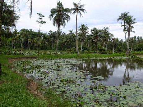 A trip to Pulau Ubin