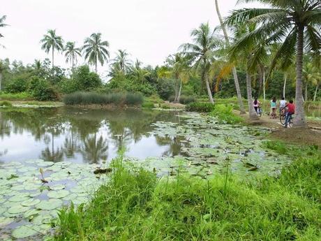 A trip to Pulau Ubin