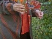 Orange-Grey Delancey Cardigan