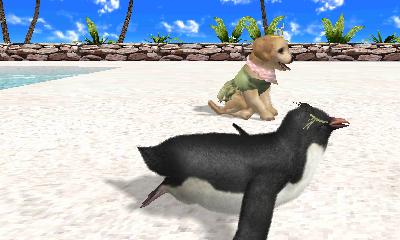 Petz Beach 01