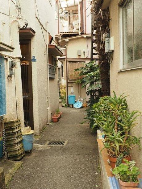 P1050157 時空が止まった鉄道中州地帯，上中里 / Kami nakazato, surrounded with railroad tracks