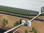 Anti-environment Coal Industry Blocked Oregon Regulations